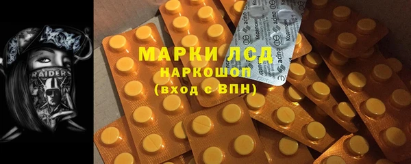 индика Абинск