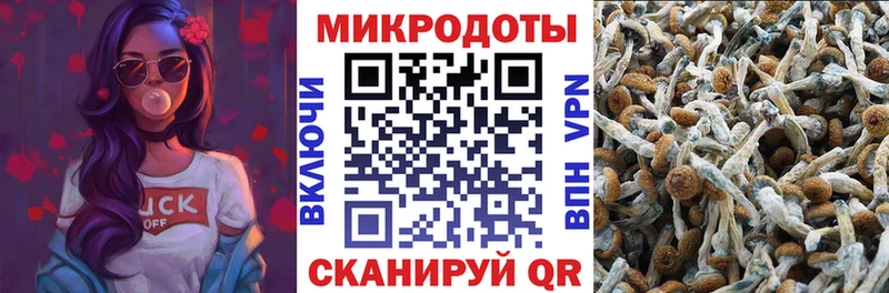 Псилоцибиновые грибы GOLDEN TEACHER  Моздок 