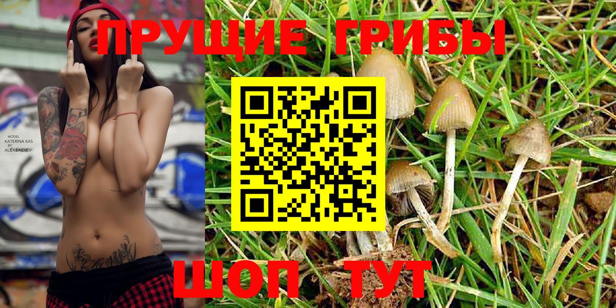 Псилоцибиновые грибы MAGIC MUSHROOMS Моздок