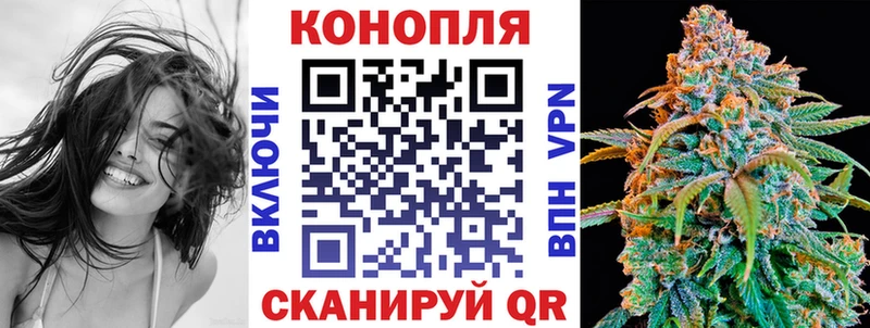 Канабис сатива  купить наркотик  Моздок 