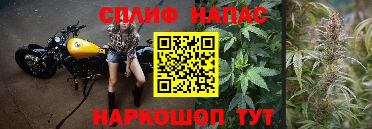 Канабис конопля Моздок